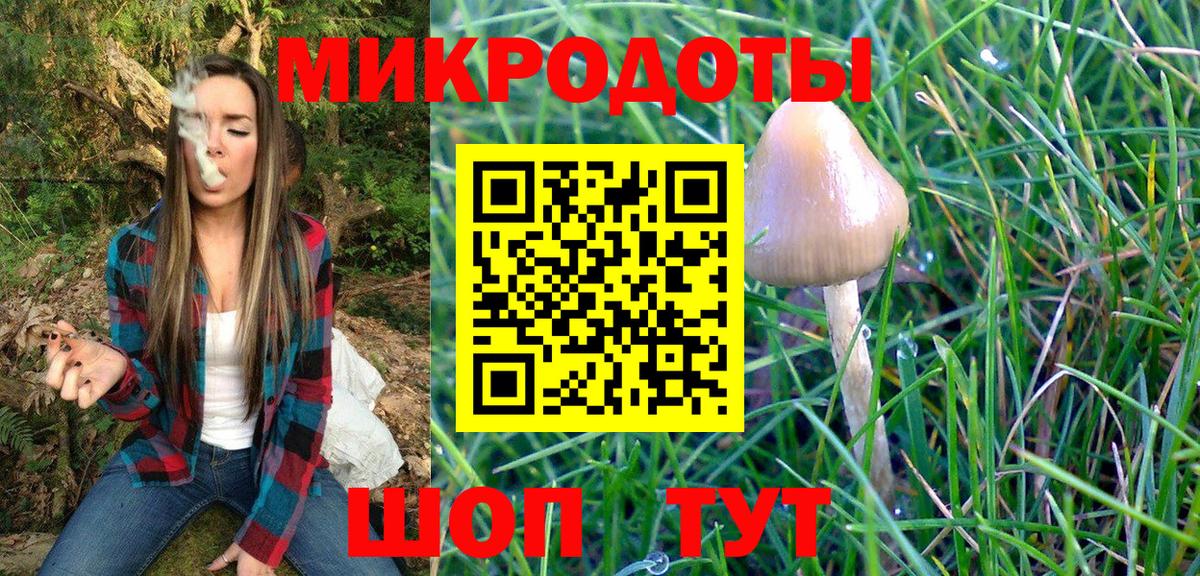 Псилоцибиновые грибы прущие грибы  Вход с VPN  Псилоцибиновые грибы мицелий  Азов 